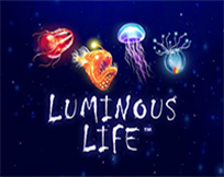 Luminous Life